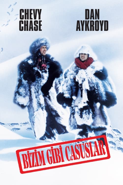 Spies Like Us (1985)