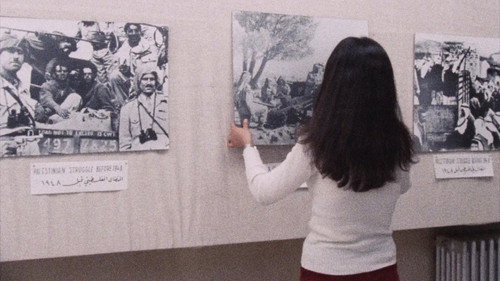 Leila and the Wolves