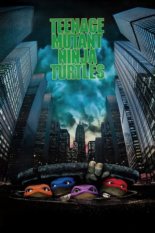 Teenage Mutant Ninja Turtles Movie Poster Image