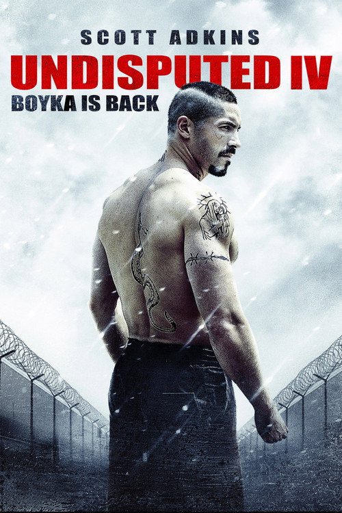 Poster von Undisputed IV - Boyka is back