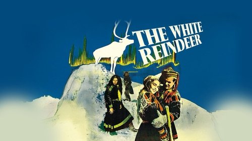 The White Reindeer