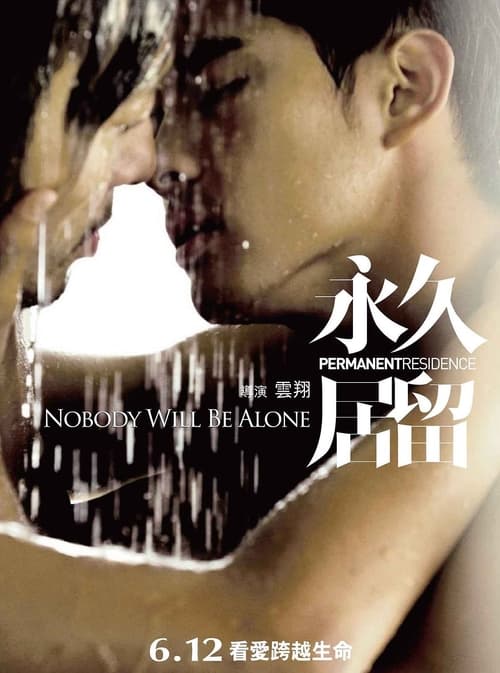 永久居留 (2009) poster