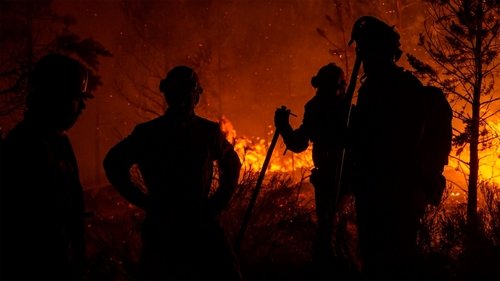 Image de l'épisode 237