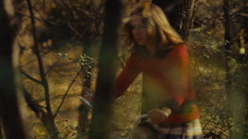 Floramin Backdrop Blur