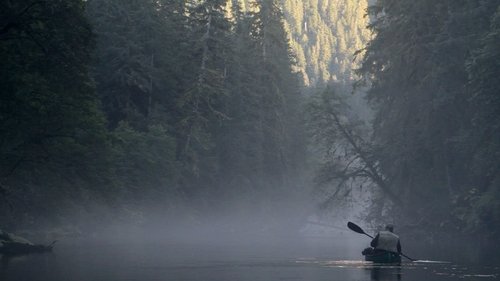 Guardian image 2