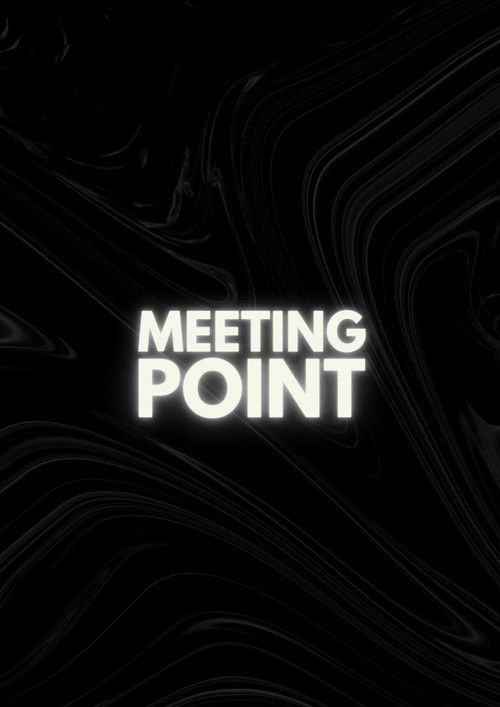 Meeting Point poster