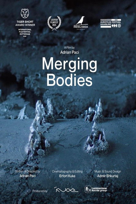 Merging Bodies poster