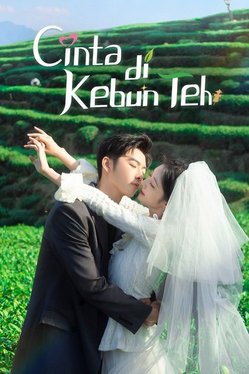 Cinta di Kebun Teh