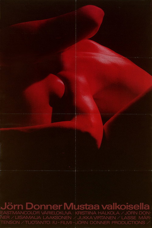 Movie poster for Black on White