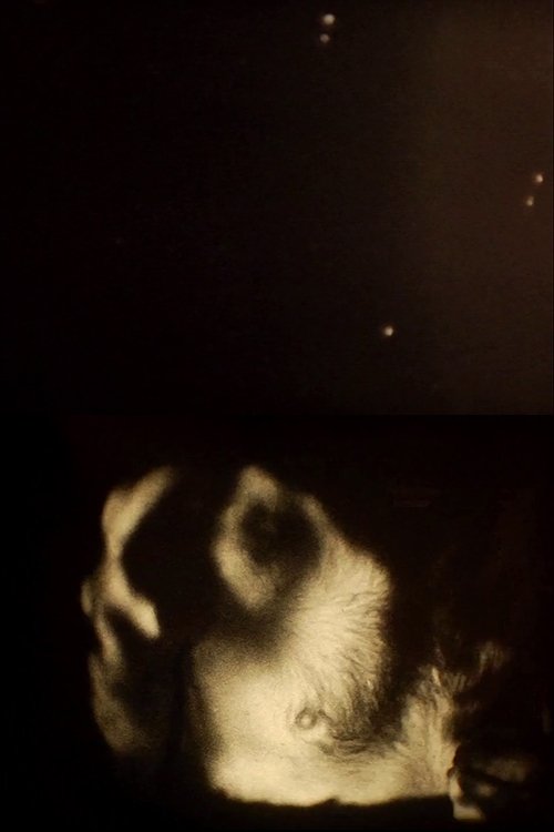 Fovea movie poster player