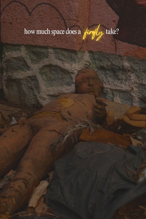 How Much Space Does A Firefly Take?