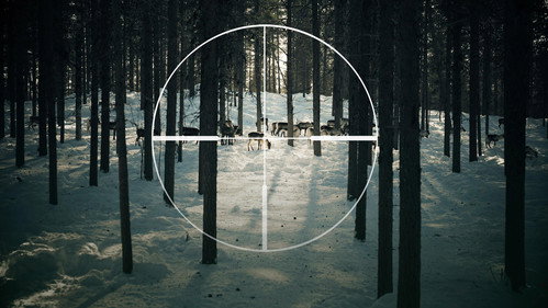 Kalla fakta: Samehatarna - Season 1 Backdrop Blur