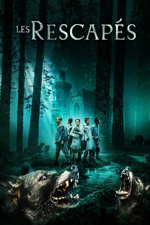 Les Rescapés movie poster player