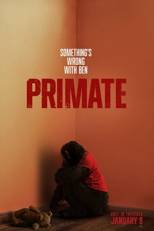 Poster 5