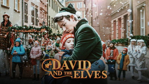 David and the Elves