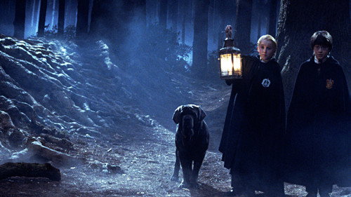 Harry Potter und ein Stein