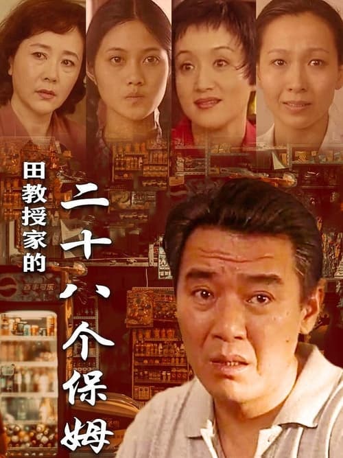 田教授家的28个保姆 (1998)