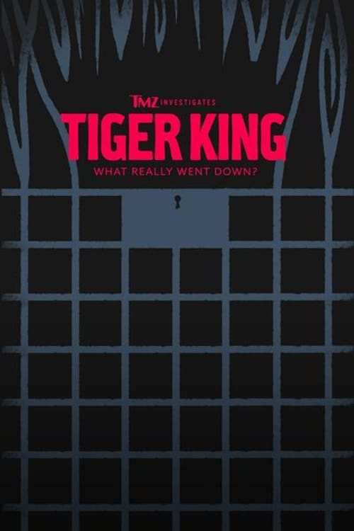 TMZ Investigates: Tiger King - What Really Went Down 2020