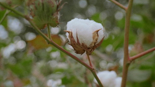 Now We Live in Paradise