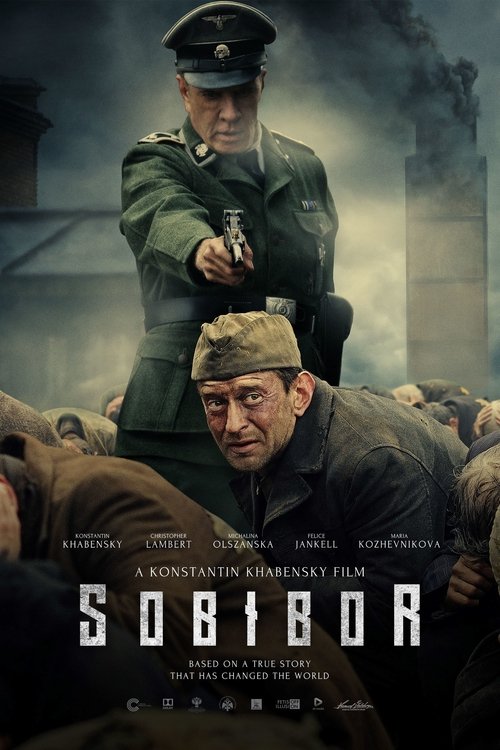 Poster 9