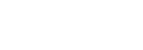 The Fair