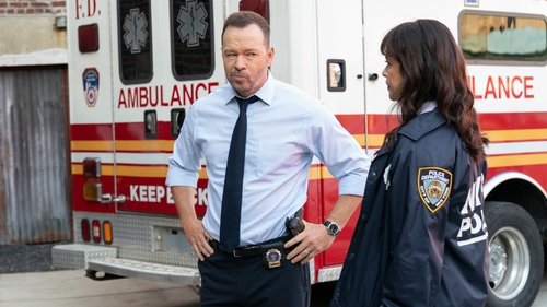 Blue Bloods – Sangue Azul: 9×8