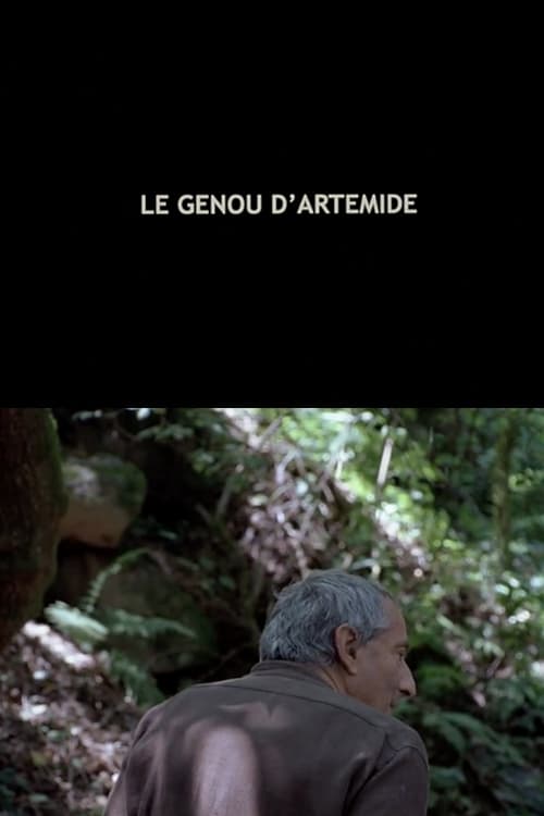 Le Genou d'Artémide (2008)