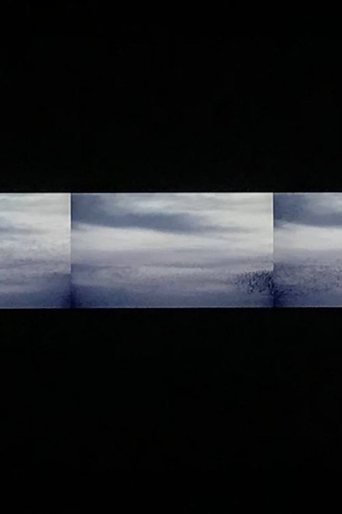 Interval II (2008) poster