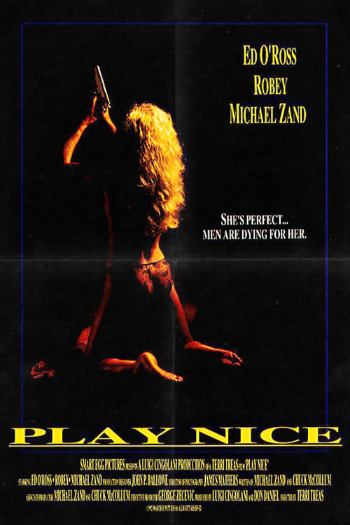 Play Nice movie poster