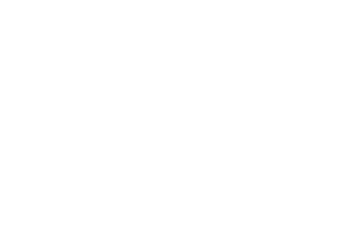 Deadly Illusions