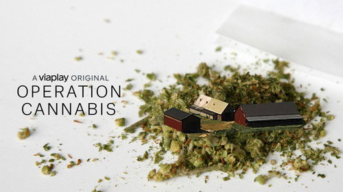 Escena 5 de Operation Cannabis