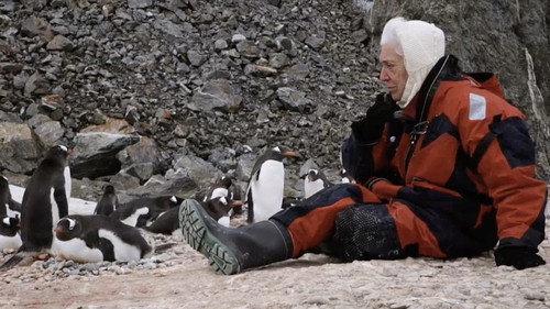 Els records glaçats