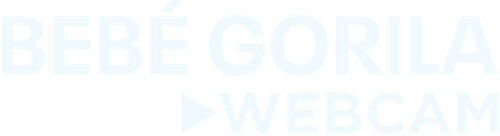 Baby Gorilla Cam - UnLim Play