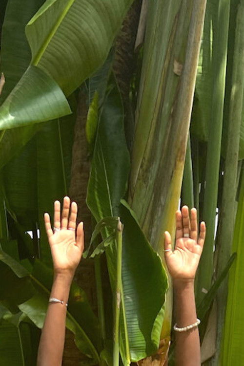 to trust the ground might free us (begin again)