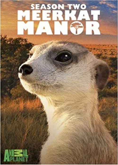 Where to stream Meerkat Manor Season 2