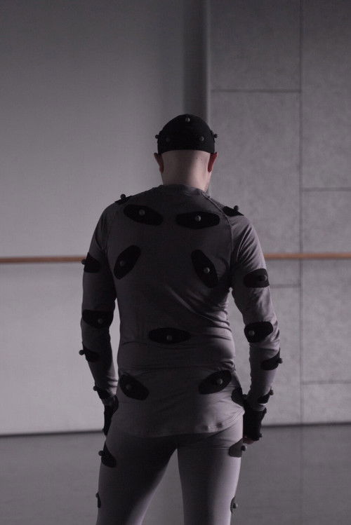 The Animal That Therefore I Am