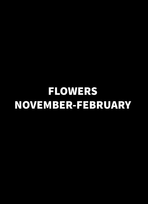 Flowers November-February