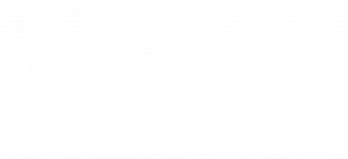 Artem Silendi