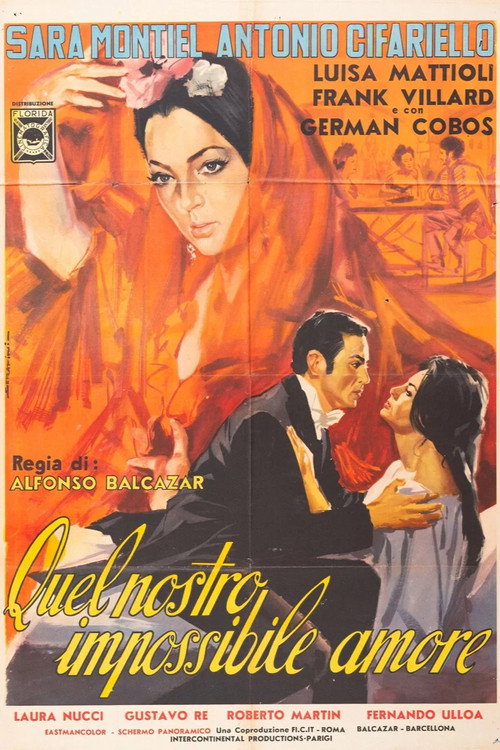 Quel nostro impossibile amore poster