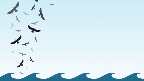 In the Wake of the Flood In the Wake of the Flood