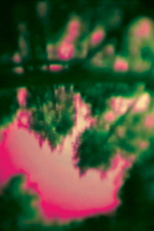 Fortify My Arms (2004) poster