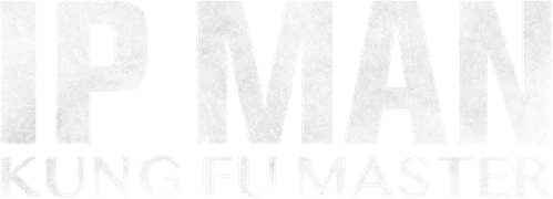 IP MAN KUNG FU MASTER