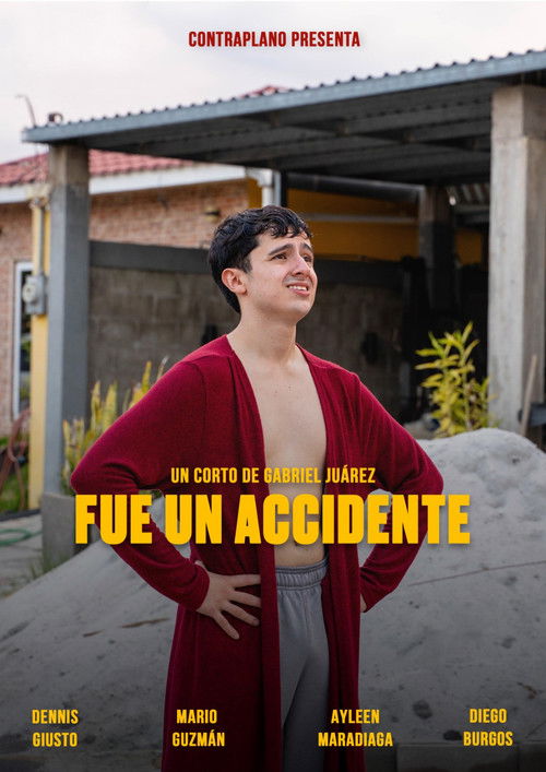Fue un accidente film afişi