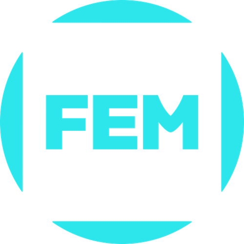 FEM