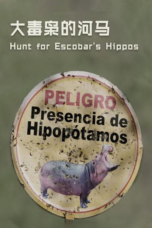 Póster oficial de The Hunt for Escobar's Hippos (2020) - Documentary