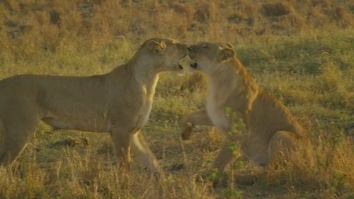 Image de l'épisode 6