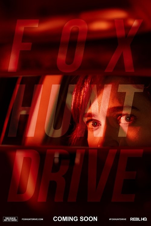 Fox Hunt Drive movie poster player