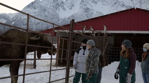 Poster della serie Dr. Oakley, Yukon Vet