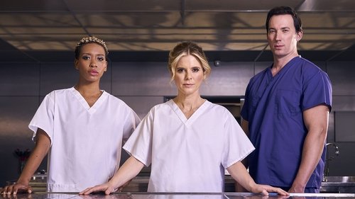 Poster della serie Silent Witness