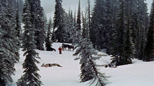 Image du film